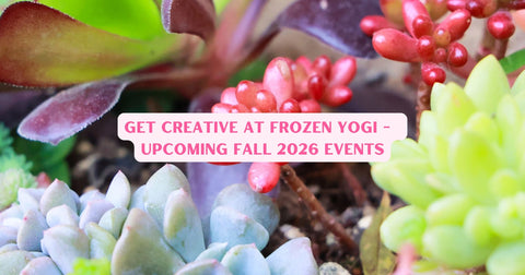 Get Creative at Frozen Yogi — Upcoming Fall 2026 Events