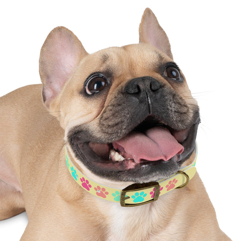 Pineapple Paw Yogi Print Dog Collar – Bright, Durable, and Perfect for Adventurous Dogs