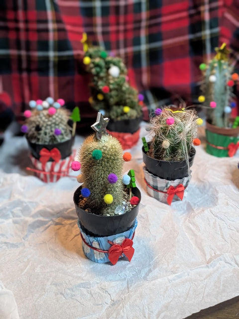 Merry Little Cactus, Cocoa & Cookie Party!