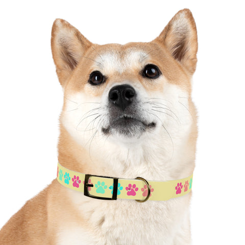 Pineapple Paw Yogi Print Dog Collar – Bright, Durable, and Perfect for Adventurous Dogs
