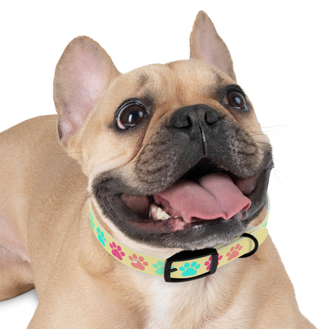 Pineapple Paw Yogi Print Dog Collar – Bright, Durable, and Perfect for Adventurous Dogs